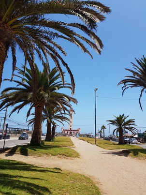 thumb_20180209_134926.jpg