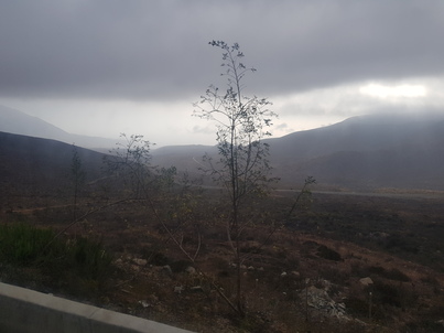thumb_20180209_185559.jpg