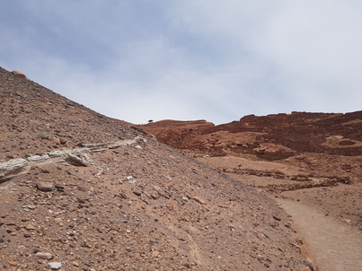 thumb_20180214_140321.jpg