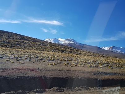 thumb_20180216_090716.jpg
