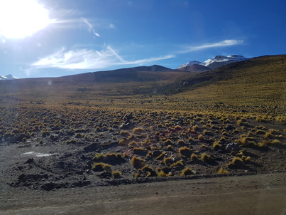 thumb_20180216_090822.jpg