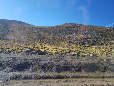 thumb_20180216_091426.jpg