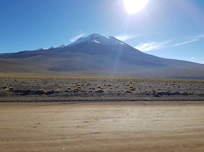 thumb_20180216_091926.jpg