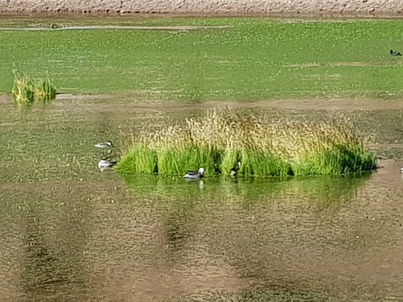 thumb_20180216_094734.jpg