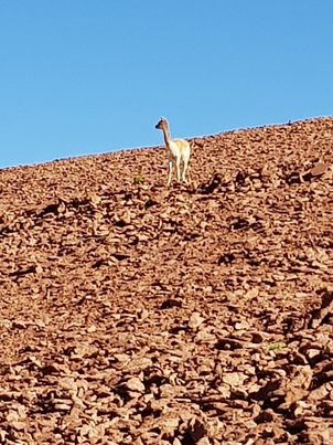 thumb_20180216_094918.jpg