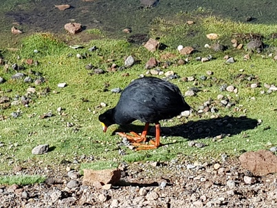 thumb_20180216_094958.jpg