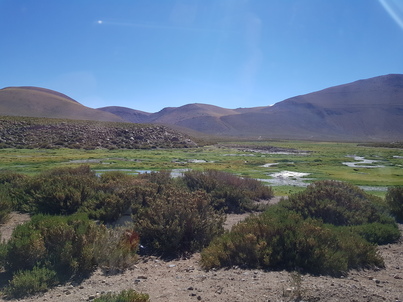 thumb_20180216_105158.jpg