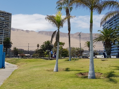 thumb_20180218_134906.jpg