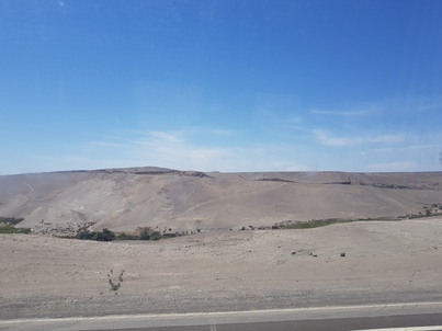 thumb_20180222_151958.jpg