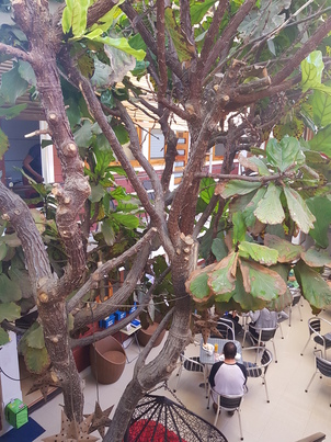 thumb_20180226_095320.jpg