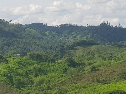 thumb_20180305_180413.jpg