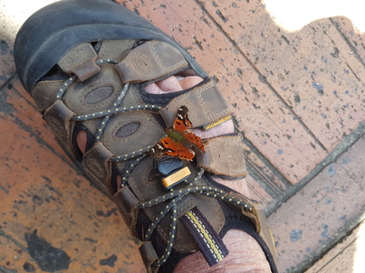 thumb_20180315_115551.jpg