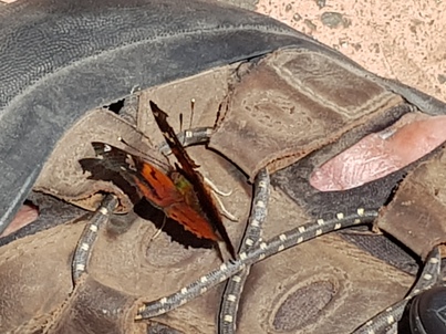 thumb_20180315_115945.jpg