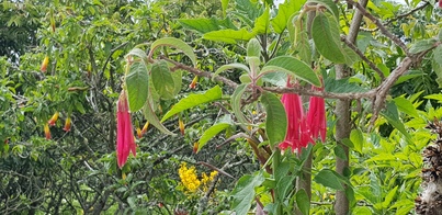 thumb_20180315_141831.jpg