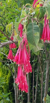 thumb_20180315_141843.jpg