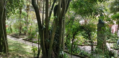 thumb_20180317_121229.jpg