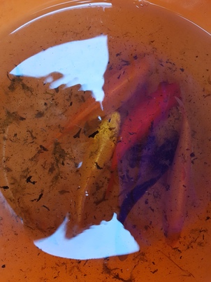 thumb_20180408_115041.jpg