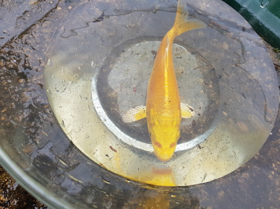 thumb_20180408_155609.jpg
