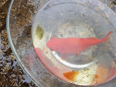 thumb_20180408_155746.jpg