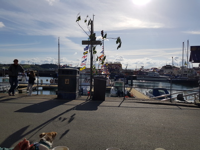 thumb_20180501_085544.jpg