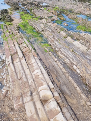 thumb_20180502_120715.jpg