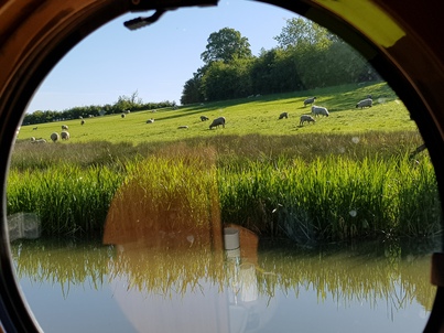 thumb_20180514_075510.jpg