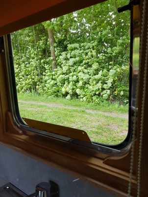 thumb_20180516_100527.jpg