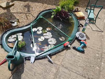 thumb_20180520_112739.jpg
