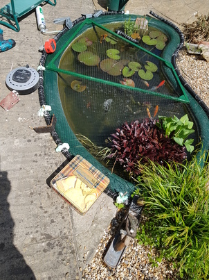 thumb_20180520_122210.jpg