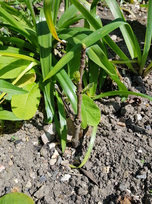 thumb_20180520_142421.jpg