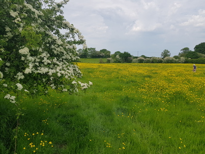 thumb_20180521_155120.jpg