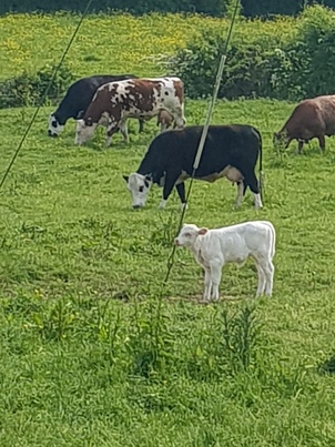 thumb_20180521_155840.jpg