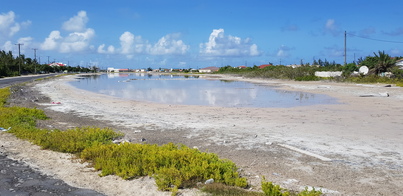 thumb_20180602_154606.jpg