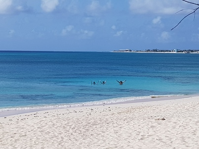 thumb_20180602_160223.jpg