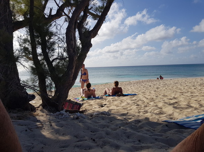 thumb_20180602_170544.jpg