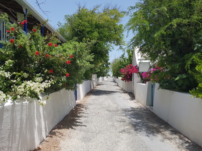 thumb_20180604_130624.jpg