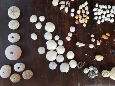 thumb_20180605_091238.jpg