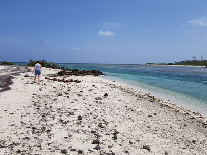 thumb_20180605_104910.jpg