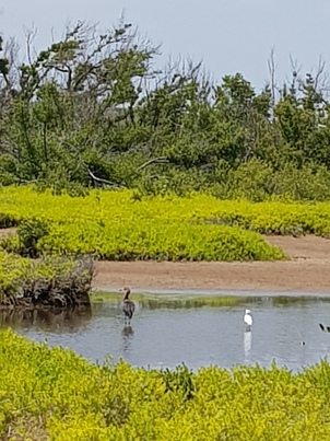 thumb_20180605_110549.jpg