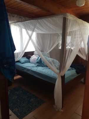 thumb_20180606_075150.jpg