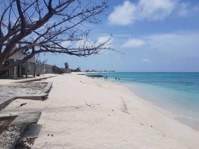 thumb_20180606_122250.jpg