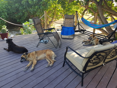 thumb_20180607_174620.jpg