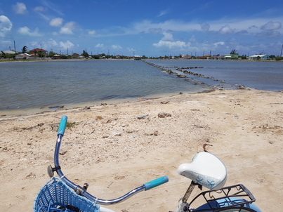 thumb_20180608_121852.jpg