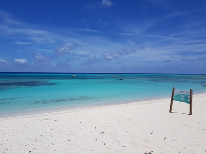 thumb_20180608_122209.jpg