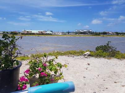 thumb_20180608_122541.jpg