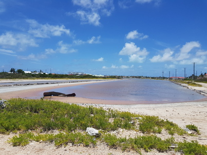 thumb_20180608_122930.jpg