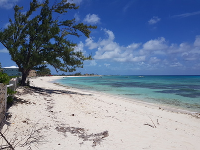 thumb_20180608_123236.jpg