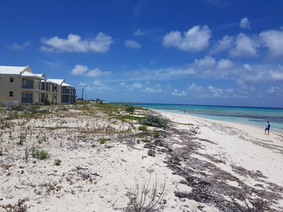 thumb_20180608_124034.jpg