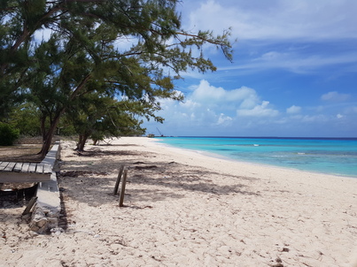 thumb_20180609_111224.jpg