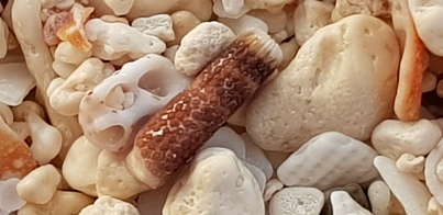 thumb_20180609_191620.jpg